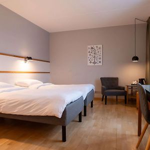 Superior  Twin Room Mobility accessible